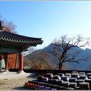 만일사 - 1258 | 만일사