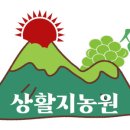 오케이샤인