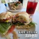 동백중앙로 | 동백역 분위기 맛집, 재방문한 지라운지 신메뉴 후기