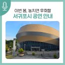서귀포관악단 제86회 정기연주회 이미지