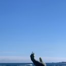 호미곶경관영농조합법인 이미지