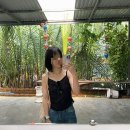 소원그린 | [베트남] 호이안 여행 코스 추천, 그린코코넛 쿠킹클래스, 올드타운 소원배 사진 꿀팁!