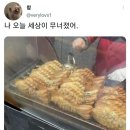 붕어빵 - 화성시 동탄솔빛로 54 | 붕어빵