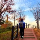 서울다원학교.한용운활동터 버스정류장(08-223) | 북악산 한양도성 둘레길•청운대 신규 개방 탐방로를 걷다!(ft. 찾아가는 방법·주소)