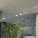 에그뮤즈 스킨스칼프 이미지