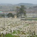 나비랑 한옥 이미지