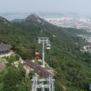 목포해상케이블카주식회사 이미지