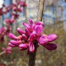 밥풀떼기 이미지