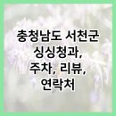싱싱청과 이미지