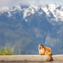 시애틀공원 이미지