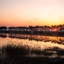 화순 송단 복조리 마을 이미지