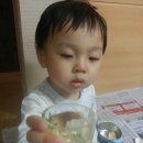 늘푸른미트 이미지