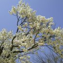 엄광산임도 이미지