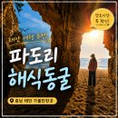 고운 소리 오카리나 | 충남 태안 여행 추천 파도리 해수욕장 해식동굴 물때 정보