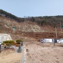 강촌출렁다리 이미지