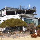 파이너스베뉴 Daum카페