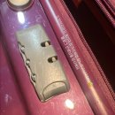 아울리버 이미지