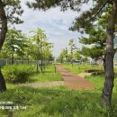 배곧생명공원 이미지