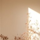 수원다나음한방병원 이미지