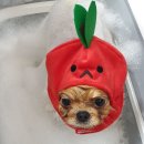 헤리