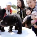 옥황농장(1) Daum카페