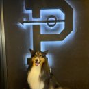 산현로 132번길 이미지