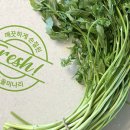 사나물농장 이미지