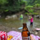 강당골 | 충남 아산 계곡 강당골 계곡 후기