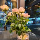 컴포즈커피 광주효천중흥점
