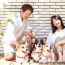 스튜디오스프링 네이버블로그