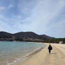 남해-237 | 남해군맛집 // 남해 기념품 맛집 // 남해옐로우츄도넛