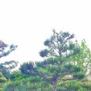 소사농장 이미지