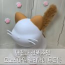 냥집사 | 냥집사 선물 추천 고양이무드등 구매 후기