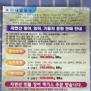 두량할매집 이미지