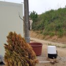 용정축산 이미지