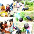 삼포농장 이미지