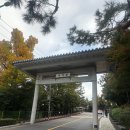 태권돌이 | [2024] 국기원 1품 심사 후기