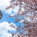 아몬드호텔 이미지