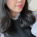 빗과결사이