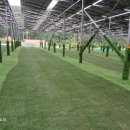 건승 태양광발전소 이미지