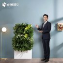 수직의 정원 | 사무실 인테리어, 비싼 브랜드 대신 실속 수직정원 맑음그린월로!