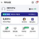 펫코디 | 네이버 펫 바우처로 강아지 겨울필수 꿀템 바잇미 올일원패딩 구매후기