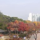 담소정