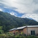 청정수풀 이미지