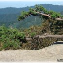 축령산휴양림입구 이미지