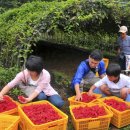홍천군농업기술센터미생물센터 이미지