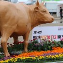 부산국밥.밀면 이미지