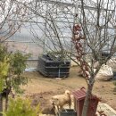 포지1리 시장내 | 인생샷 찍으러 서산 로드트립 간 후기 | 서산 당일치기 여행