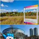 룸북카페야자수 경기도뉴스