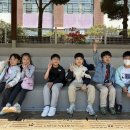 효성태권도스쿨 이미지